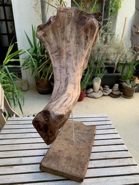 Sculpture en bois flotté de Loire : 'Tête D'Éléphant' - 52 cm de hauteur × 41 × 21 - Création Zen Curiosity
