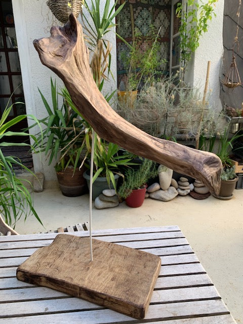 Sculpture en bois flotté de Loire : 'Tête D'Éléphant' - 52 cm de hauteur × 41 × 21 - Création Zen Curiosity