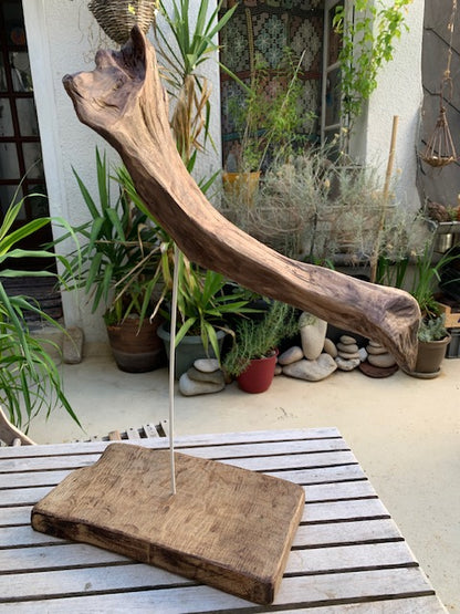 Sculpture en bois flotté de Loire : 'Tête D'Éléphant' - 52 cm de hauteur × 41 × 21 - Création Zen Curiosity