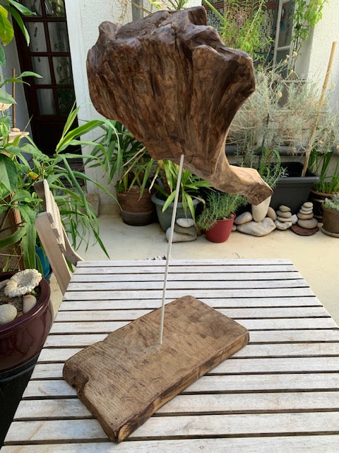 Sculpture en bois flotté de Loire : 'Tête D'Éléphant' - 52 cm de hauteur × 41 × 21 - Création Zen Curiosity