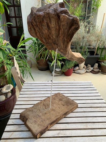 Sculpture en bois flotté de Loire : 'Tête D'Éléphant' - 52 cm de hauteur × 41 × 21 - Création Zen Curiosity