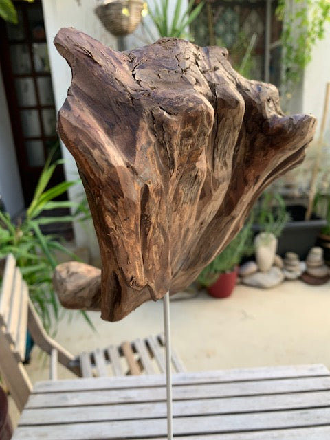 Sculpture en bois flotté de Loire : 'Tête D'Éléphant' - 52 cm de hauteur × 41 × 21 - Création Zen Curiosity