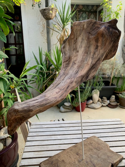Sculpture en bois flotté de Loire : 'Tête D'Éléphant' - 52 cm de hauteur × 41 × 21 - Création Zen Curiosity