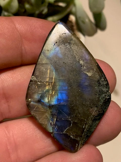 Labradorite, cabochon gravé de 52 mm x 32 x 7 - 14,6 gr. - Qualité AA à AAA, parfait pour être monter en bijoux ou collection !