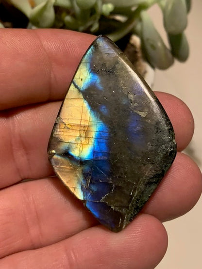 Labradorite, cabochon gravé de 52 mm x 32 x 7 - 14,6 gr. - Qualité AA à AAA, parfait pour être monter en bijoux ou collection !