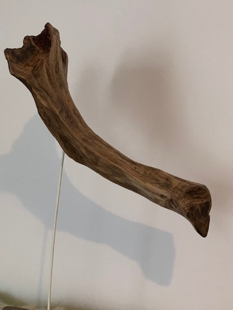 Sculpture en bois flotté de Loire : 'Tête D'Éléphant' - 52 cm de hauteur × 41 × 21 - Création Zen Curiosity