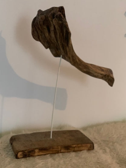 Sculpture en bois flotté de Loire : 'Tête D'Éléphant' - 52 cm de hauteur × 41 × 21 - Création Zen Curiosity