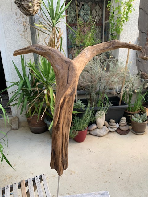 Sculpture en bois flotté de Loire : 'Tête De Chèvre' - 50 cm de hauteur × 37 × 21 - Création Zen Curiosity