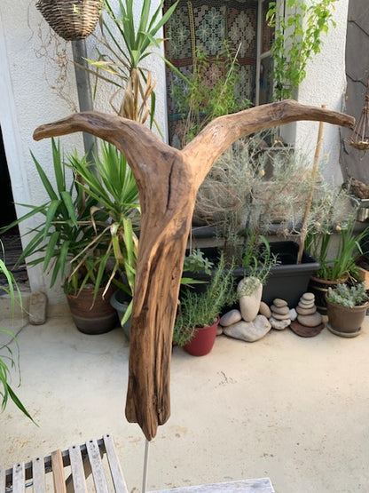 Sculpture en bois flotté de Loire : 'Tête De Chèvre' - 50 cm de hauteur × 37 × 21 - Création Zen Curiosity