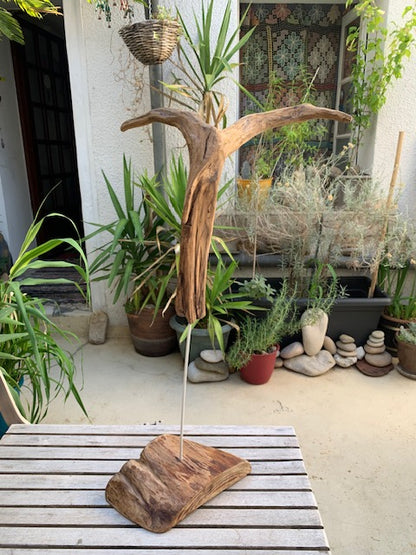 Sculpture en bois flotté de Loire : 'Tête De Chèvre' - 50 cm de hauteur × 37 × 21 - Création Zen Curiosity