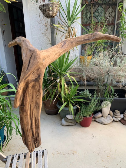 Sculpture en bois flotté de Loire : 'Tête De Chèvre' - 50 cm de hauteur × 37 × 21 - Création Zen Curiosity