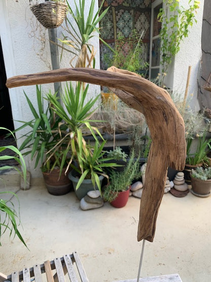 Sculpture en bois flotté de Loire : 'Tête De Chèvre' - 50 cm de hauteur × 37 × 21 - Création Zen Curiosity