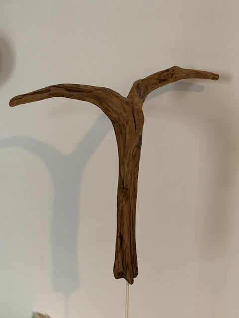 Sculpture en bois flotté de Loire : 'Tête De Chèvre' - 50 cm de hauteur × 37 × 21 - Création Zen Curiosity