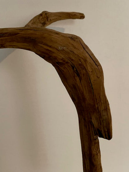 Sculpture en bois flotté de Loire : 'Tête De Chèvre' - 50 cm de hauteur × 37 × 21 - Création Zen Curiosity