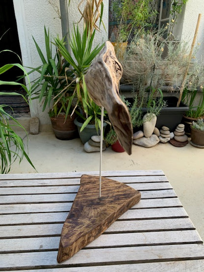 Sculpture en bois flotté de Loire : 'Tête De Cheval' - 40 cm de hauteur × 34 × 18 - Création Zen Curiosity