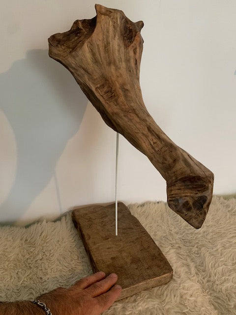 Sculpture en bois flotté de Loire : 'Tête D'Éléphant' - 52 cm de hauteur × 41 × 21 - Création Zen Curiosity