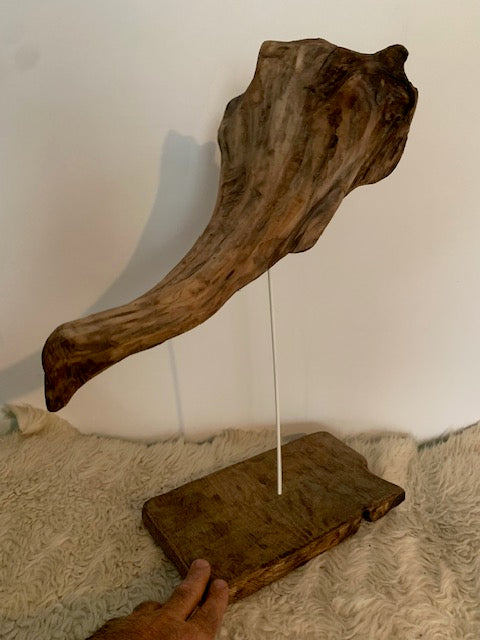 Sculpture en bois flotté de Loire : 'Tête D'Éléphant' - 52 cm de hauteur × 41 × 21 - Création Zen Curiosity
