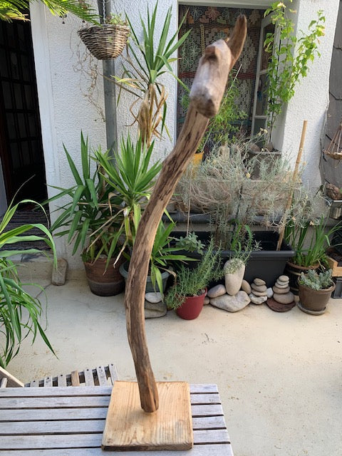 Sculpture en bois flotté de Loire : 'Tête De Cygne' - 77 cm de hauteur × 40 × 30 - Création Zen Curiosity