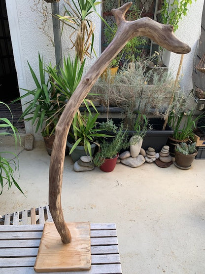 Sculpture en bois flotté de Loire : 'Tête De Cygne' - 77 cm de hauteur × 40 × 30 - Création Zen Curiosity