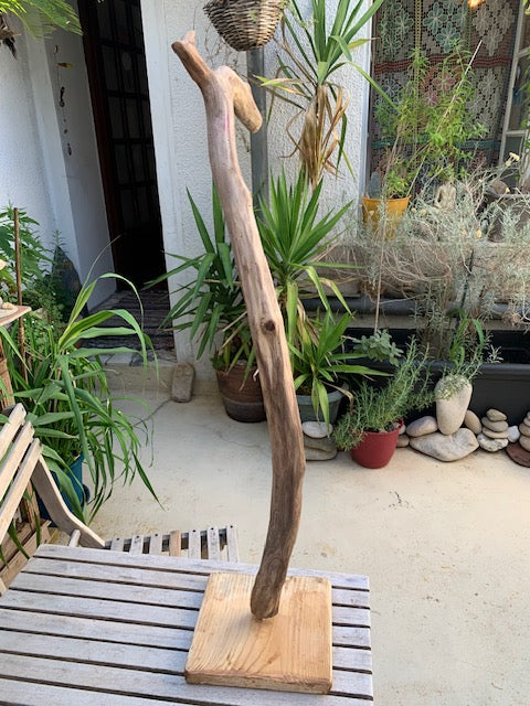 Sculpture en bois flotté de Loire : 'Tête De Cygne' - 77 cm de hauteur × 40 × 30 - Création Zen Curiosity
