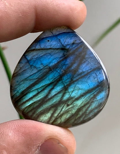 Labradorite, cabochon en forme de 'goutte' - ± 42 x 38 x 8 mm - 20,2 gr. - Qualité AA à AAA !