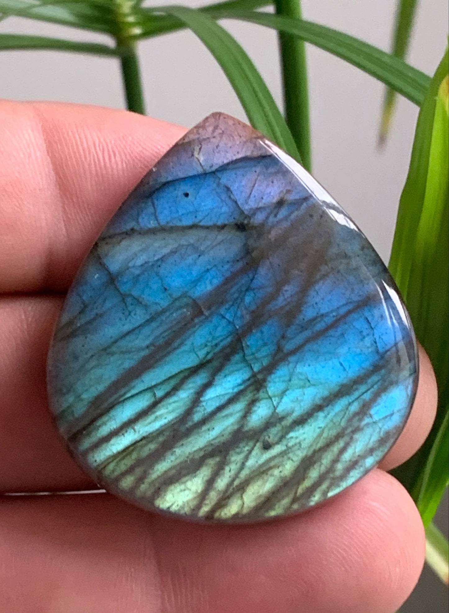 Labradorite, cabochon en forme de 'goutte' - ± 42 x 38 x 8 mm - 20,2 gr. - Qualité AA à AAA !