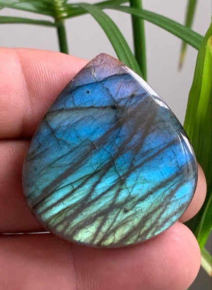 Labradorite, cabochon en forme de 'goutte' - ± 42 x 38 x 8 mm - 20,2 gr. - Qualité AA à AAA !