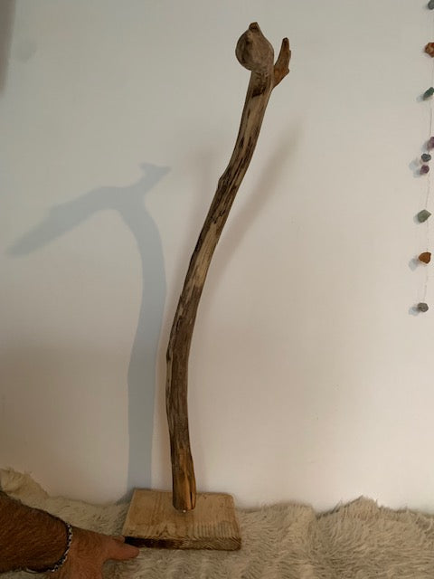 Sculpture en bois flotté de Loire : 'Tête De Cygne' - 77 cm de hauteur × 40 × 30 - Création Zen Curiosity