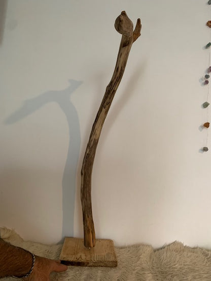 Sculpture en bois flotté de Loire : 'Tête De Cygne' - 77 cm de hauteur × 40 × 30 - Création Zen Curiosity