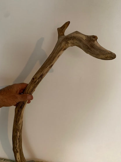 Sculpture en bois flotté de Loire : 'Tête De Cygne' - 77 cm de hauteur × 40 × 30 - Création Zen Curiosity