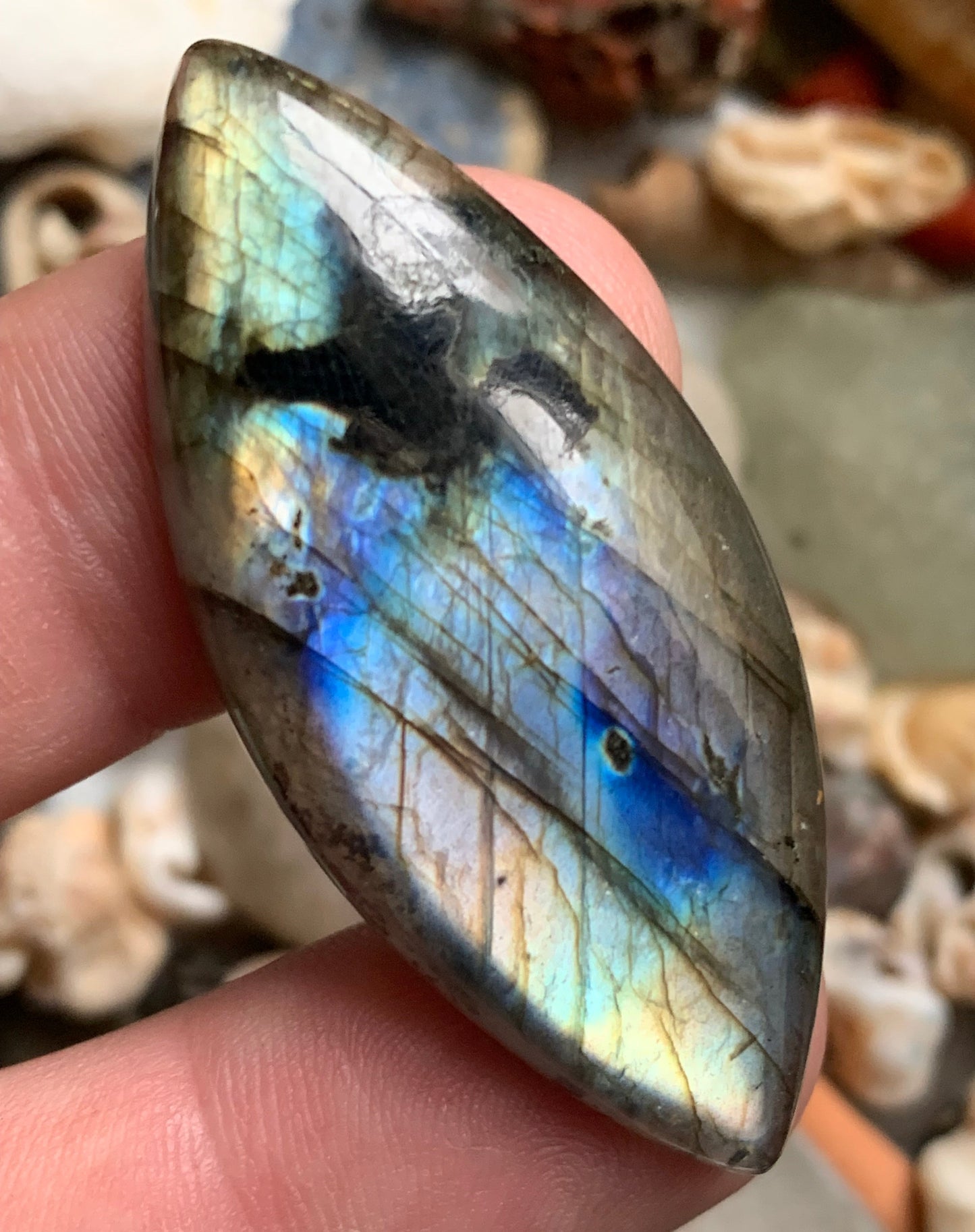 Labradorite, cabochon en forme de 'marquise' - ± 51 x 23 x 8 mm - 13,2 gr. - Qualité AA à AAA !