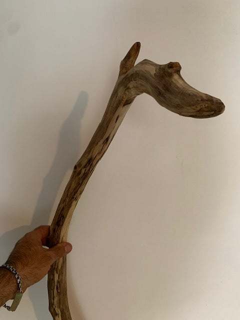 Sculpture en bois flotté de Loire : 'Tête De Cygne' - 77 cm de hauteur × 40 × 30 - Création Zen Curiosity