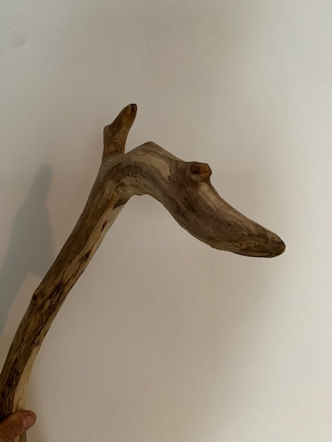 Sculpture en bois flotté de Loire : 'Tête De Cygne' - 77 cm de hauteur × 40 × 30 - Création Zen Curiosity
