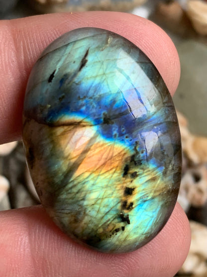 Labradorite, cabochon de forme 'ovale' - ± 36 x 25 x 7 mm - 9,7 gr. - Qualité AA à AAA !