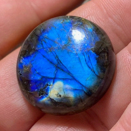 Labradorite, cabochon de forme 'ronde' - ± 28 x 7 mm - 9,3 gr. - Qualité AA à AAA !