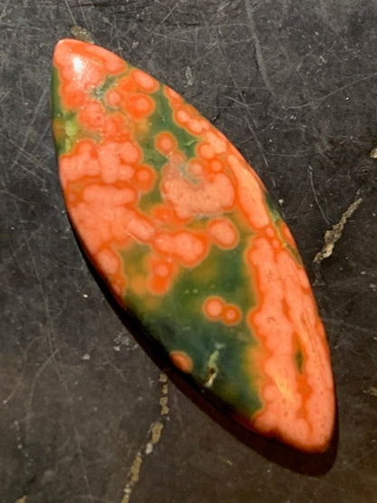 Jaspe Orbiculaire (Aussi appelé Jaspe Océan), cabochon de forme 'marquise' - ± 25 x 11 x 3 mm - 1 gr. - Qualité AAA !