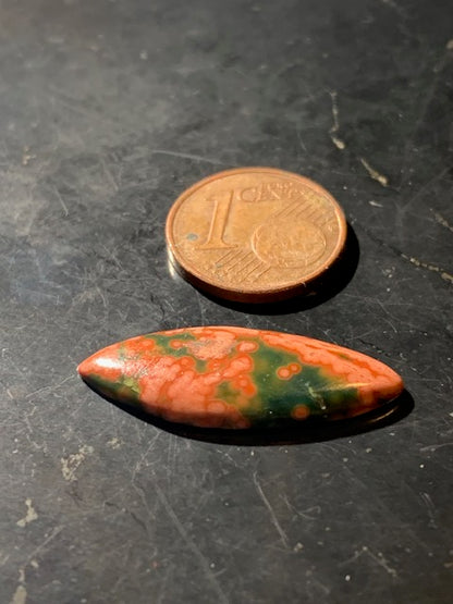 Jaspe Orbiculaire (Aussi appelé Jaspe Océan), cabochon de forme 'marquise' - ± 25 x 11 x 3 mm - 1 gr. - Qualité AAA !