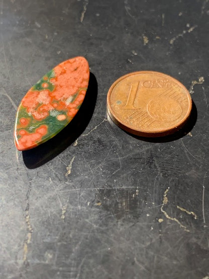 Jaspe Orbiculaire (Aussi appelé Jaspe Océan), cabochon de forme 'marquise' - ± 25 x 11 x 3 mm - 1 gr. - Qualité AAA !