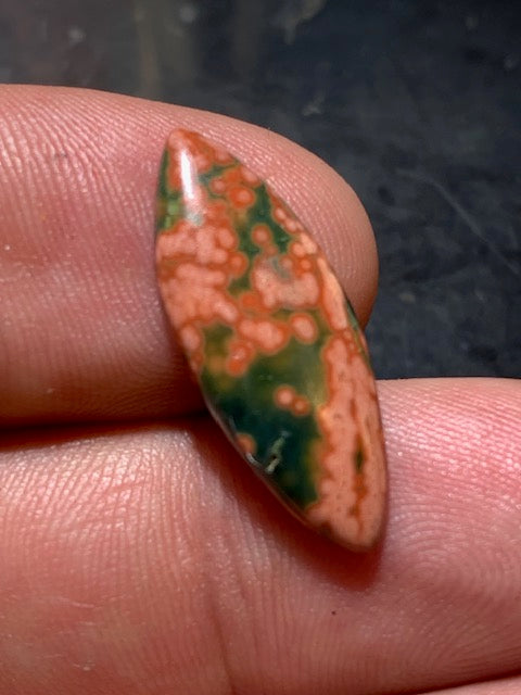 Jaspe Orbiculaire (Aussi appelé Jaspe Océan), cabochon de forme 'marquise' - ± 25 x 11 x 3 mm - 1 gr. - Qualité AAA !