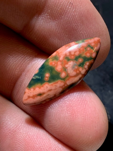 Jaspe Orbiculaire (Aussi appelé Jaspe Océan), cabochon de forme 'marquise' - ± 25 x 11 x 3 mm - 1 gr. - Qualité AAA !