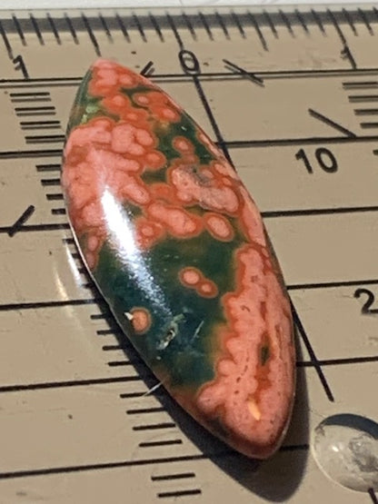 Jaspe Orbiculaire (Aussi appelé Jaspe Océan), cabochon de forme 'marquise' - ± 25 x 11 x 3 mm - 1 gr. - Qualité AAA !