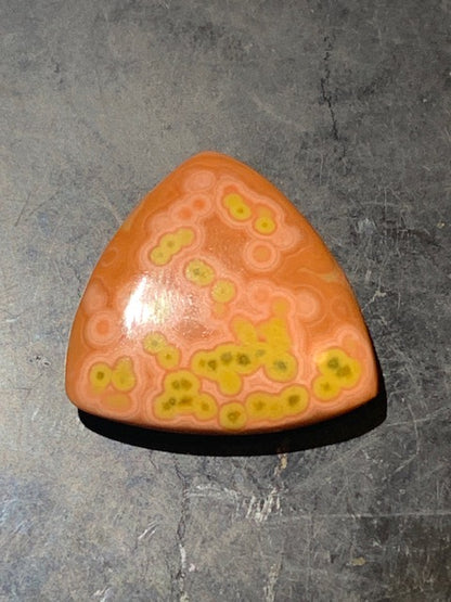 Jaspe Orbiculaire (Aussi appelé Jaspe Océan), cabochon de forme 'Trillion' - ± 21 x 5 mm - 2,8 gr. - Qualité AAA !