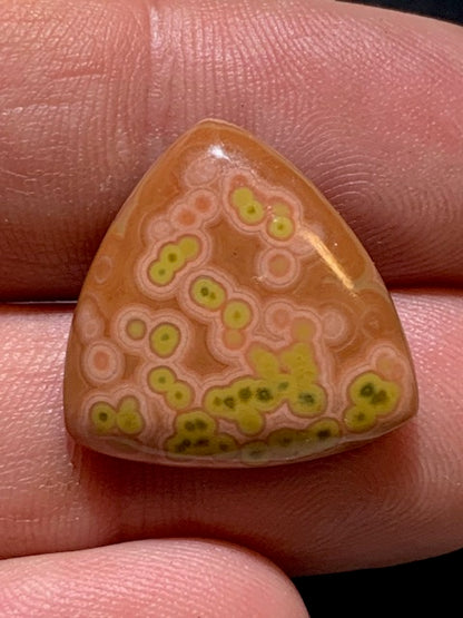 Jaspe Orbiculaire (Aussi appelé Jaspe Océan), cabochon de forme 'Trillion' - ± 21 x 5 mm - 2,8 gr. - Qualité AAA !