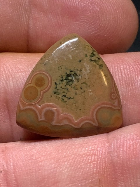 Jaspe Orbiculaire (Aussi appelé Jaspe Océan), cabochon de forme 'Trillion' - ± 21 x 5 mm - 2,8 gr. - Qualité AAA !