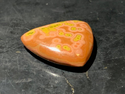 Jaspe Orbiculaire (Aussi appelé Jaspe Océan), cabochon de forme 'Trillion' - ± 21 x 5 mm - 2,8 gr. - Qualité AAA !