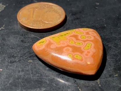 Jaspe Orbiculaire (Aussi appelé Jaspe Océan), cabochon de forme 'Trillion' - ± 21 x 5 mm - 2,8 gr. - Qualité AAA !