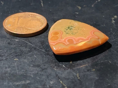 Jaspe Orbiculaire (Aussi appelé Jaspe Océan), cabochon de forme 'Trillion' - ± 21 x 5 mm - 2,8 gr. - Qualité AAA !