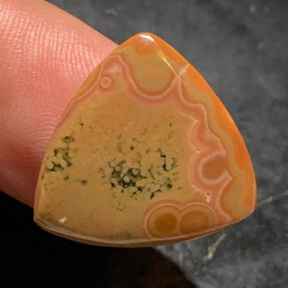 Jaspe Orbiculaire (Aussi appelé Jaspe Océan), cabochon de forme 'Trillion' - ± 21 x 5 mm - 2,8 gr. - Qualité AAA !