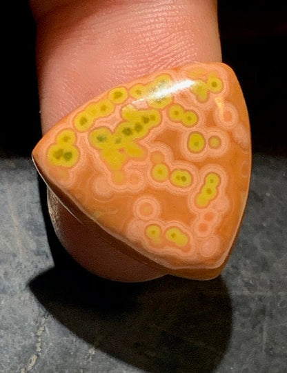 Jaspe Orbiculaire (Aussi appelé Jaspe Océan), cabochon de forme 'Trillion' - ± 21 x 5 mm - 2,8 gr. - Qualité AAA !