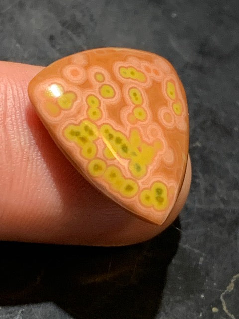 Jaspe Orbiculaire (Aussi appelé Jaspe Océan), cabochon de forme 'Trillion' - ± 21 x 5 mm - 2,8 gr. - Qualité AAA !